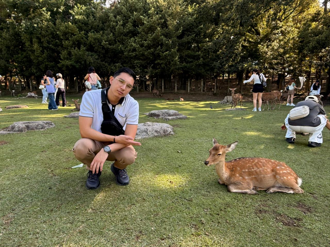 Deer in Nara